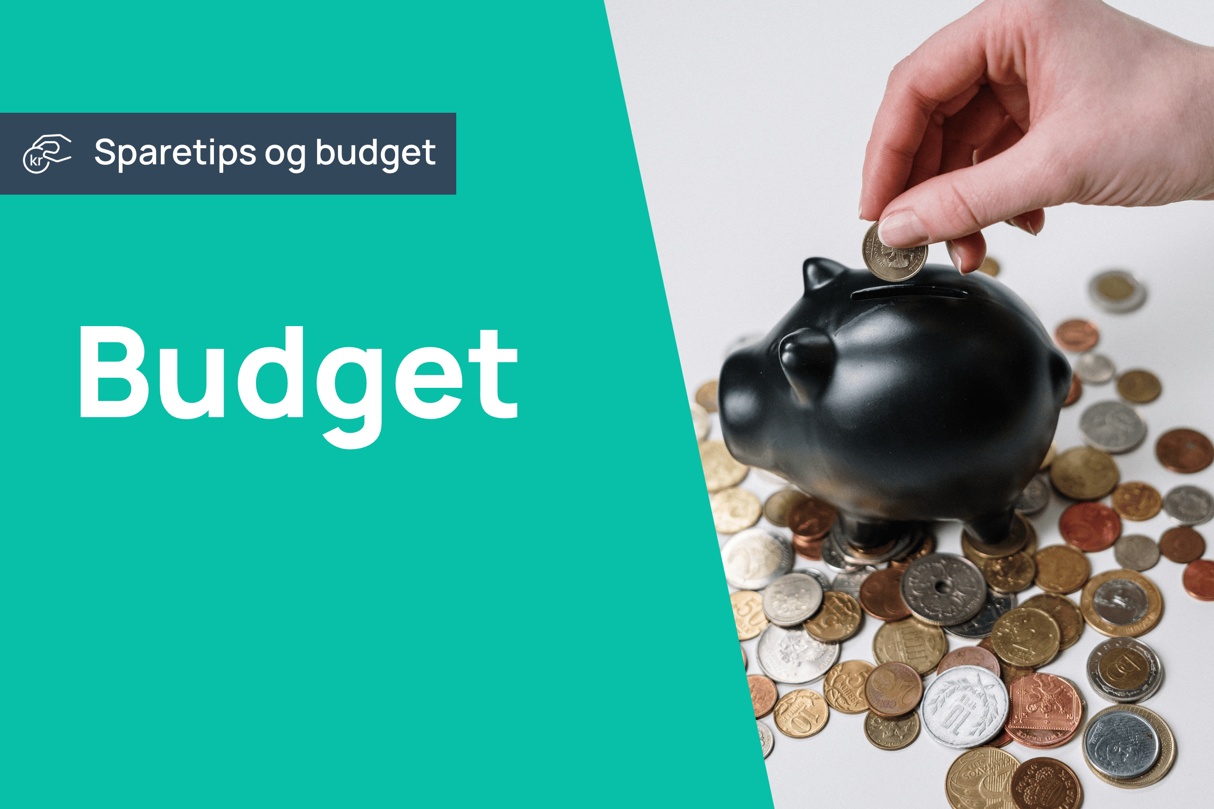 Budget